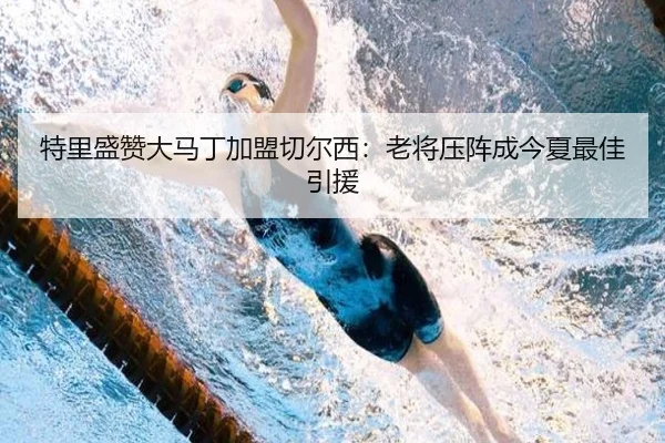 特里盛赞大马丁加盟切尔西：老将压阵成今夏最佳引援